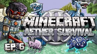 Minecraft Aether 2 Survival Lets Play Ep 6  Mother Bird [upl. by Brunella]