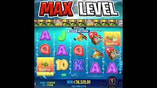 BIG BASS BONANZA REEL ACTION SLOT 😱 €110 BET 🔥 MAX LEVEL shorts [upl. by Haraj]