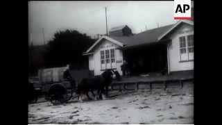 CHATHAM ISLAND FILMED FOR FIRST TIME [upl. by Ociral]