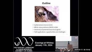 Evenings at Whitney  Battle for the Bats Development of Treatments for White Nose Syndrome [upl. by Tavy]