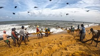 Amazing Seine Net Fishing In Rough Sea Hard Day For Fishermen But They Never Give Up 💪 [upl. by Ennovi]