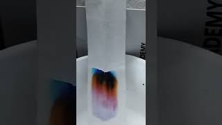 paper chromatography demonstration by black ink please subscribe [upl. by Laehcor]