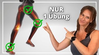 Diese GENIALE ÜBUNG macht ALLE Gelenke beweglich  Neuroathletik [upl. by Brynn]