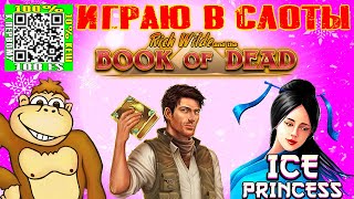 Играю в слоты казино ловлю заносы Book of Dead Ice Princess [upl. by Andel]