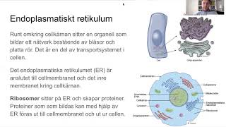 Cellens struktur [upl. by Lewes]