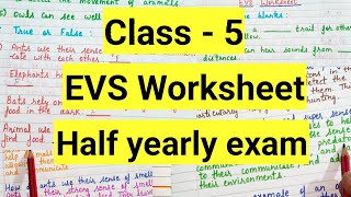 Class 5 evs half yearly exam Question Paper 202425  Class 5 Exam Paper evs worksheet  part 2 [upl. by Ettenuahs595]