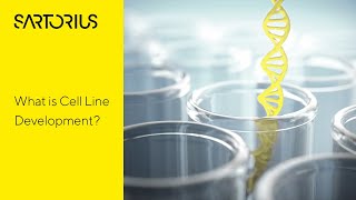 What is Cell Line Development Key Steps for Biopharmaceutical Production [upl. by Enoved408]