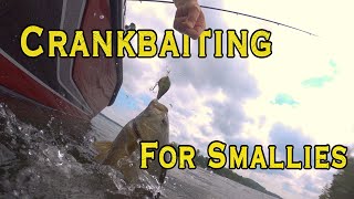 How To Shallow running crankbaits for more bass [upl. by Dav842]