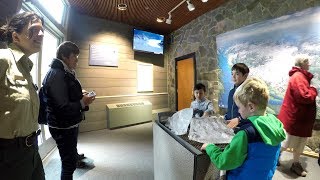 Mendenhall Glacier Visitor Center Tour 4K [upl. by Aleafar879]