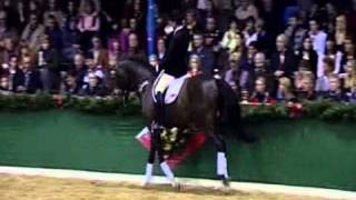 Status Quo  Hengst  Stallion [upl. by Ecirtram]