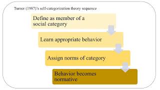 Selfcategorization theory [upl. by Meadows]