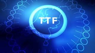 TTF the Dutch success in European gas trade [upl. by Adniram272]