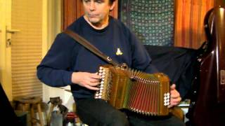 Cheshire Waltz  Anahata Melodeon [upl. by Mcquade]