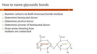 Nursing Chem  Carbohydrates Part 4  Glycosidic Bonds [upl. by Brena403]