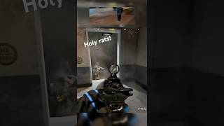 Call us EXTERMINATORS RATS 🐀 callofduty cod funny rat camping [upl. by Arie]