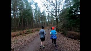 Parkrun  Delamere UK [upl. by Jamilla]