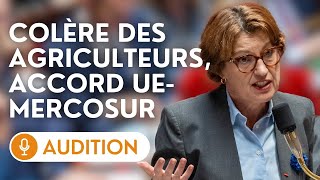 🔴 Audition de la ministre de l’agriculture sur l’opposition française à l’accord UEMercosur [upl. by Jennica]