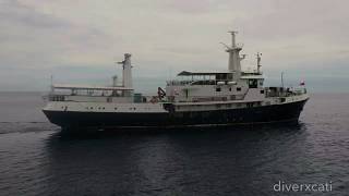 Liveaboard Diving Trip in Tubbataha Reef Natural Parks [upl. by Marsiella]