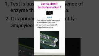 Quiz9  Biochemical test for identification of bacteria  shorts microbiology [upl. by Annehsat]