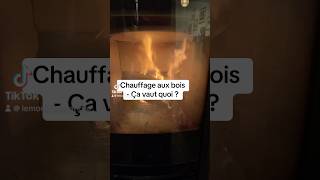 Chauffage au bois ça vaut quoi [upl. by Enailuj]