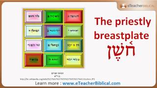 What are Urim and the Thummim  Biblical Hebrew QampA with eTeacherBiblicalcom [upl. by Hgielac665]