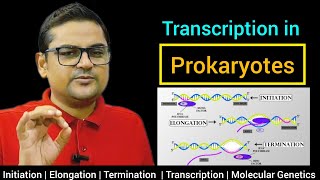 Transcription in Prokaryotes  Molecular Genetics  Class 12NEET by Pashupati Sir [upl. by Ettenaj]