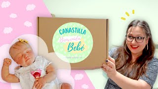 ¡Bienvenid Bebé 😲 Cajas REBORN y canastillas TEMÁTICAS para BEBÉS y MUÑECAS ✨ [upl. by Ahouh]