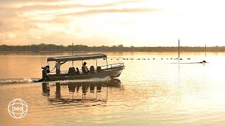 Boating Safaris in Nyerere National Park  360° Virtual Tour [upl. by Ihn432]