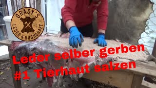 Leder selbst gerben 1 Tierhaut salzen [upl. by Enitsej]