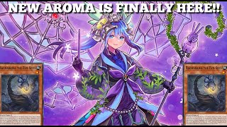 NEW AROMA CARDS FINALLY Plus Ragnaraika Combo Engine  Yugioh Master Duel [upl. by Toblat]