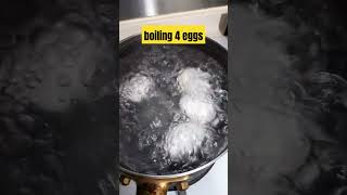 Boiling 4 eggs for breakfast eggs dodreamdaizee shortsvideo [upl. by Sherburne912]