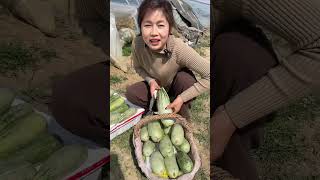 Nature Fresh Fruit Farm shorts shortvideo PE146 [upl. by Kremer624]