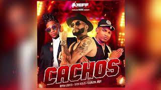 Irvin Lirico  Cachos Ft donkolo  Carlos Jeey [upl. by Essilevi]