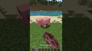 Minecraft Pig Moment [upl. by Ahsaz]