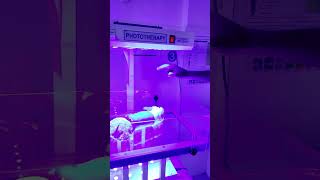 Phototherapy in Action phototherapy newborncare clinicalcareinsights jaundicetreatment [upl. by Leontine]