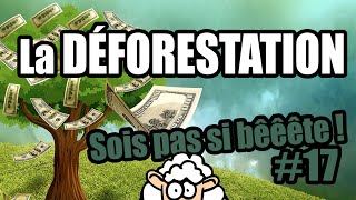 La DÉFORESTATION  Sois pas si bêêête 17 [upl. by Namrac625]