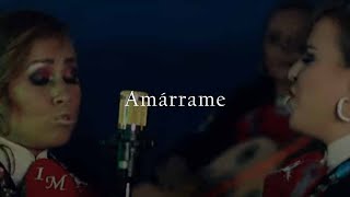 Amárrame Mariachi Innovación Mexicana [upl. by Den]