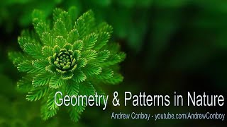 Patterns in Nature  Symmetry Fractals amp Geometry [upl. by Sherj606]