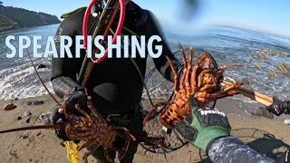 He Helped Clean Up The Ocean spearfishing saltlife pacificocean [upl. by Trinl]