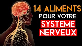 Top 14 MEILLEURS Aliments pour Votre Système Nerveux Neuropathie [upl. by Gerladina313]