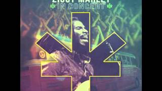 Ziggy Marley  quotTomorrow Peoplequot  Ziggy Marley In Concert [upl. by Rehctaht]