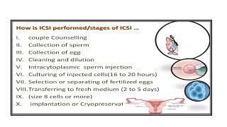 Intracytoplasmic Sperm Injection ICSI Video No 411 [upl. by Gnous]