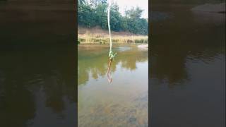 JUNGALLIFE TREDITIONAL HOOK FISHING TECHNIC I HOOK FISHING fishing hookfishing hookfishing [upl. by Nnaesor632]