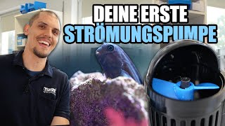 Deine erste Strömungspumpe  Was man beachten muss [upl. by Ellenuahs503]