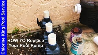 How to Replace Swimming Pool Pump amp Rebuild Suction Manifold  Chlorine King Pool Service [upl. by Naharba]