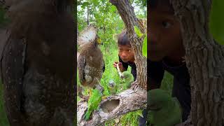 Man sees three gray eagles and three blue parrotsbird parrot eagle love nature beautiful [upl. by Adila]