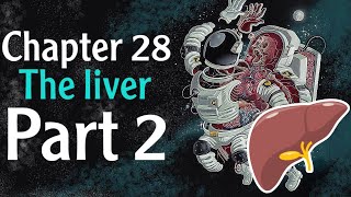 Physiology chapter 28 The Liver part 2  فسلجة وزاري [upl. by Grete]