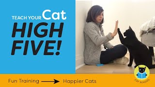 Teach Your Cat to High Five With Clicker Training [upl. by Claudine295]