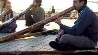 Worldwide Didgeridoo Meditation [upl. by Eimaj]