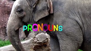 Using PRONOUNS SONG for KIDS [upl. by Edette476]